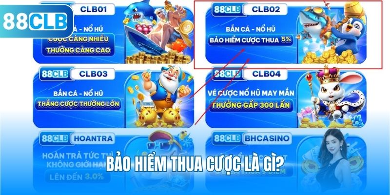 Bảo hiểm thua cược là gì?